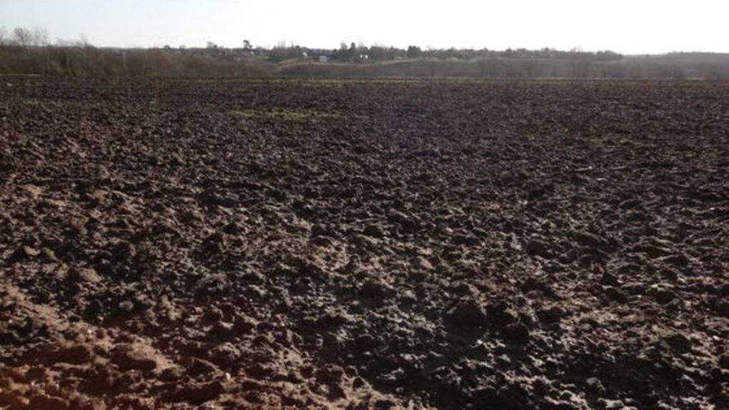 FAO a publicat primul raport privind situația la nivel mondial a solurilor negre