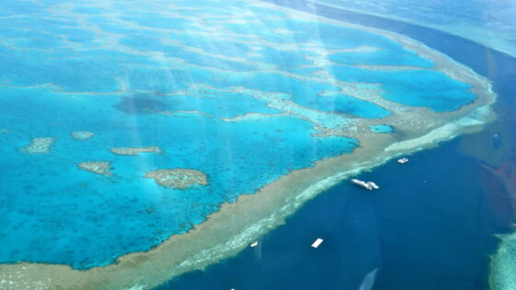 Guvernul australian a blocat un proiect minier care amenința Marea Barieră de Corali. Ecologiști salută o decizie istorică luată de puterea de la Canberra