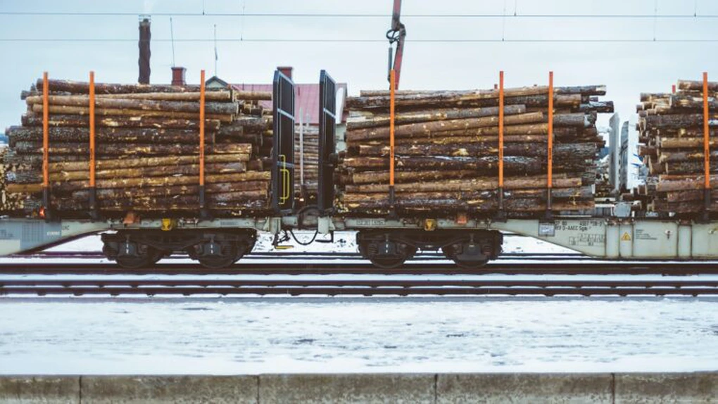 Ministerul Mediului vrea un sistem naţional de monitorizare video a transporturilor de material lemnos