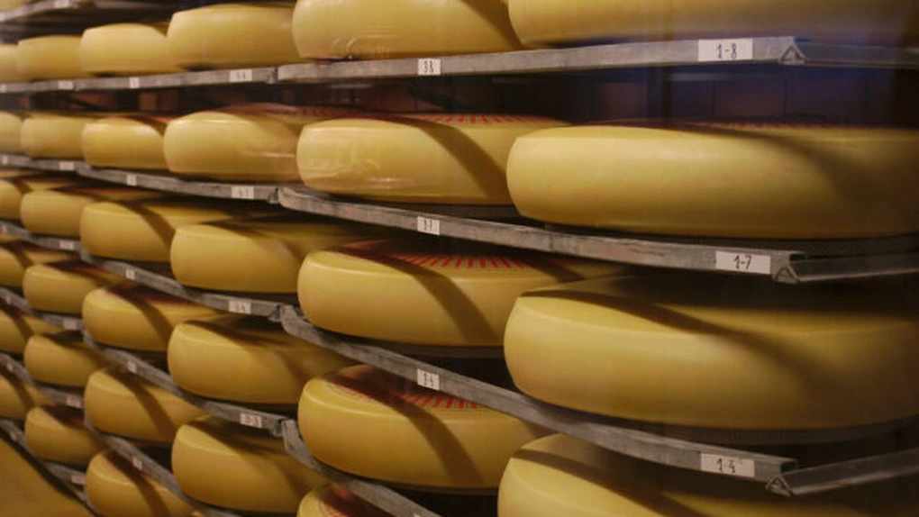 Justiția europeană a decis că dreptul de folosire a termenului 