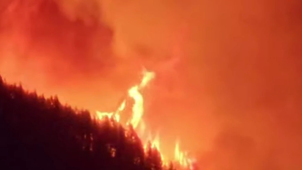 Incendii de pădure fac ravagii în apropierea unui oraş de coastă din Albania. Au fost necesare evacuări