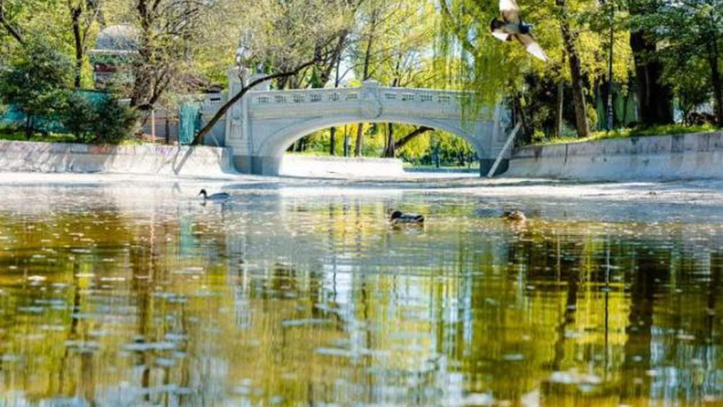 ALPAB a semant un contract pentru asigurarea de serivii de pază și patrulare în Parcul Cișmigiu. Vor exista cinci posturi de pază permanente