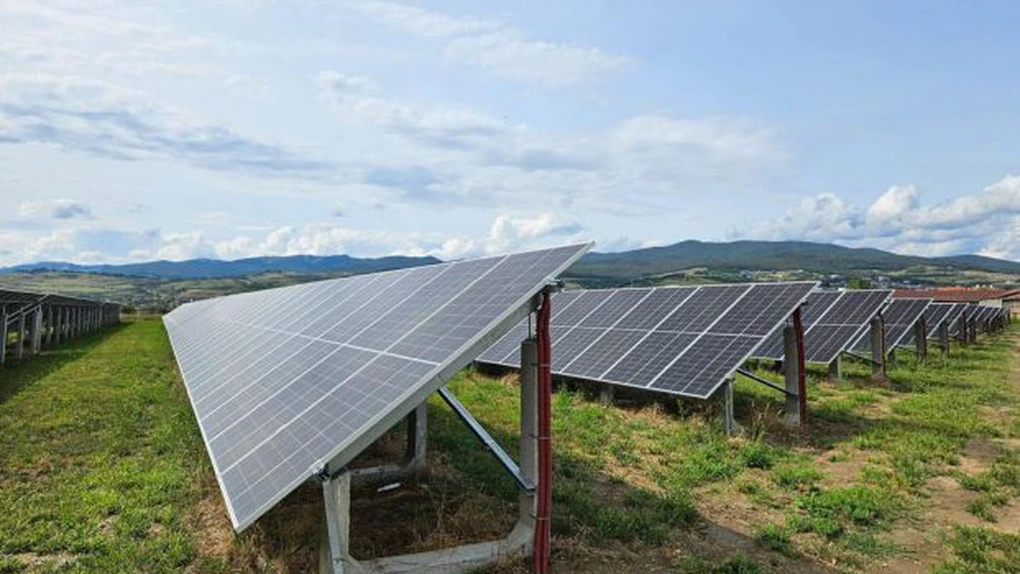 Interes mare la licitația pentru construirea și operarea parcurilor fotovoltaice din Oltenia ale Petrom și CEO. Nume mari din România și din lume, interesate de contractul de 374 mil. euro