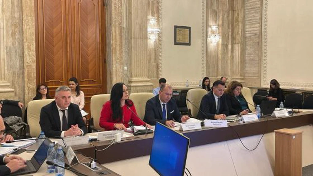 Simona Bucura-Oprescu: De la 1 ianurie cheltuiala cu pensiile va fi de 125,9 miliarde de lei, urmând să crească din septembrie cu 10 miliarde de lei