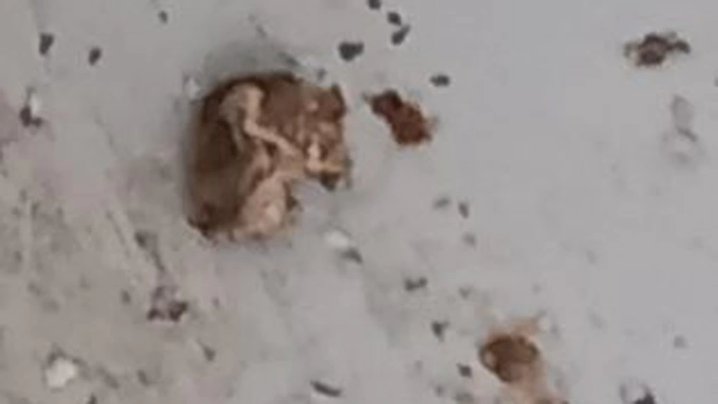 ANPC a închis activitatea și a amendat cu 15.000 de lei compania care fabrică produsele de patiserie 