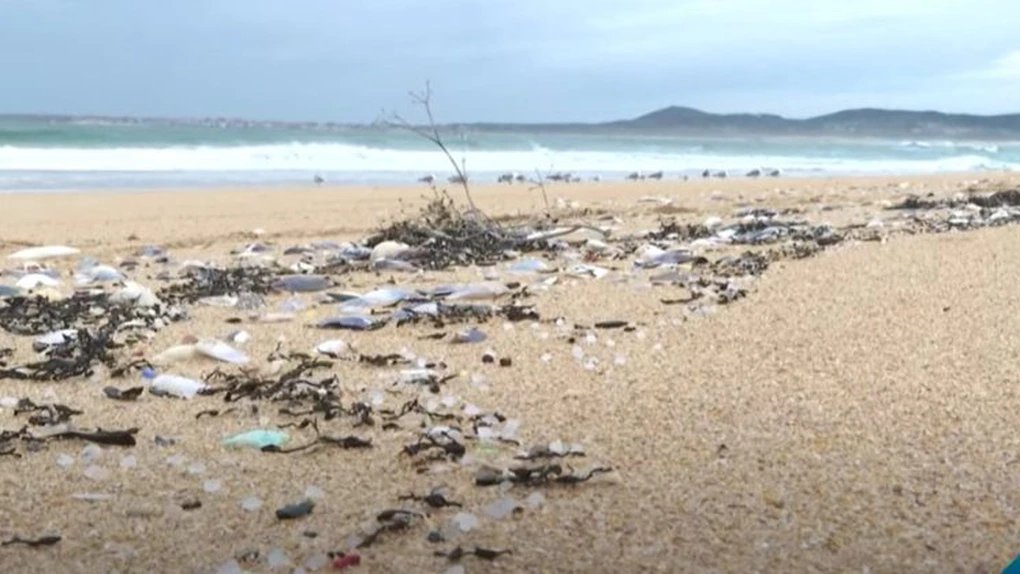 VIDEO - Stare de urgenţă declarată în nordul Spaniei din cauza peletelor de plastic prezente pe plajă