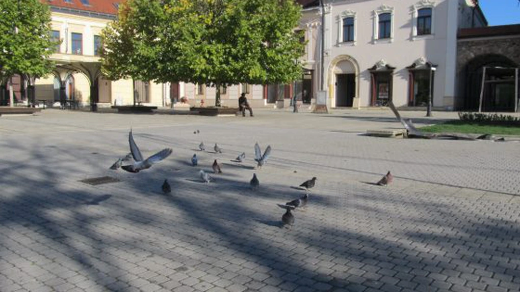 Guvernul a declarat Zona turistică Baia Mare drept stațiune turistică de interes național. Alte 13 localități sau părți de localități au devenit stațiuni turistice de interes local