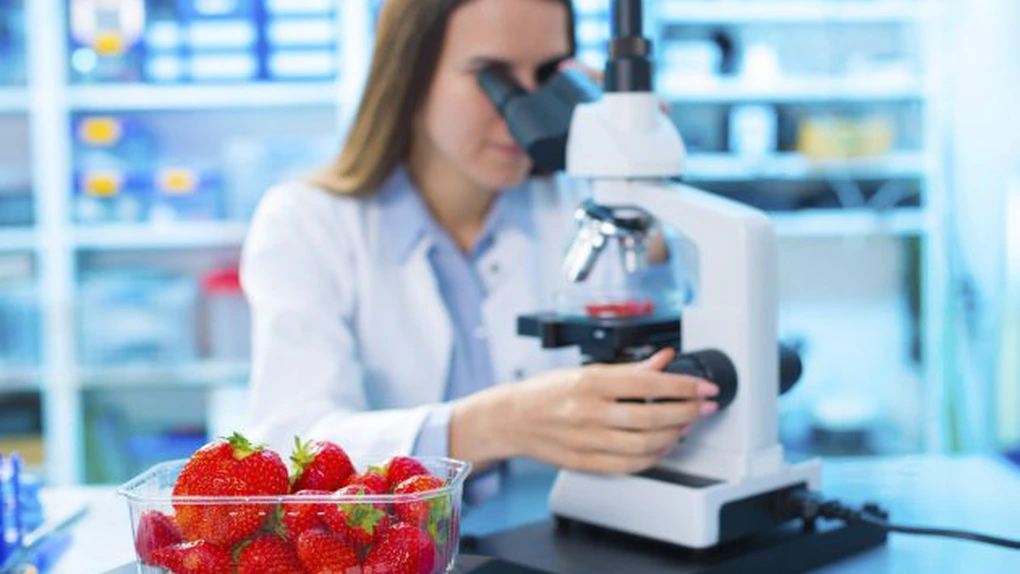 Marea Britanie a început controalele fizice la importurile de alimente proaspete din UE