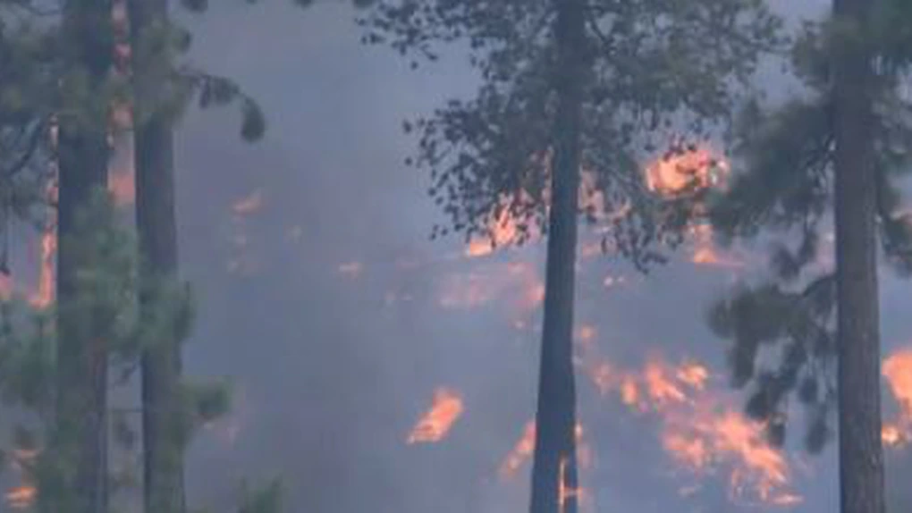 Alertă de nivel 4 în Grecia - Incendii de pădure în aproape toată ţara
