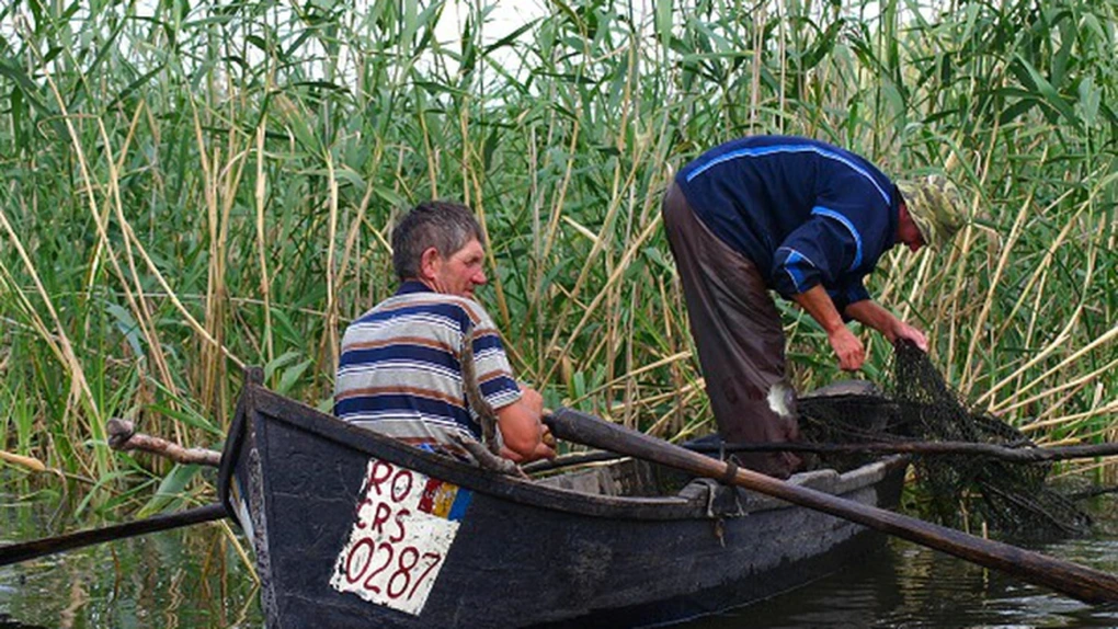 Administraţia Rezervaţiei Biosferei Delta Dunării impune condiții noi pentru pescuitul comercial. Pescarii sunt obligați de acum să raporteze capturile de scrumbie