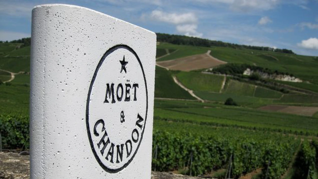 Producătorii de șampanie din Franța au solicitat recoltarea unei cantități mai mici de struguri, în contextul scăderii vânzărilor cu 15%