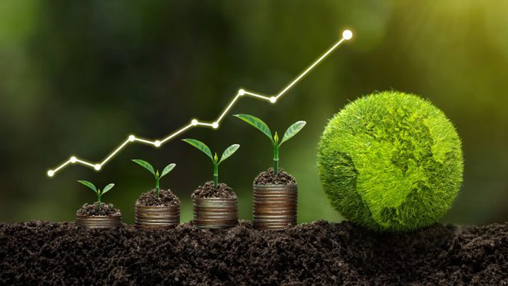 Peste 75% dintre antreprenori consideră că schimbările climatice au un impact negativ asupra afacerii. Doar 7% au apelat la credite 