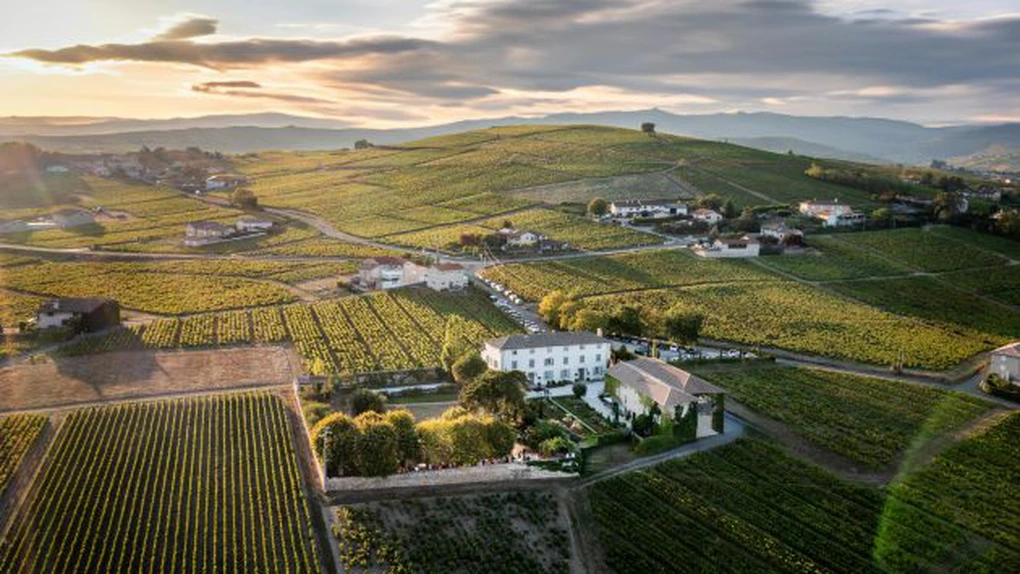 Producția de vin din Franța ar putea să scadă semnificativ în acest an, din cauza vremii nefavorabile
