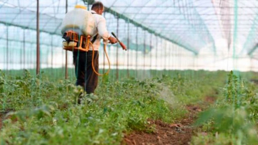 Uniunea Europeană a continuat să-și crească exporturile de pesticide periculoase, a căror folosire este interzisă pe teritoriul său, în țările sărace, acuză două organizații de mediu