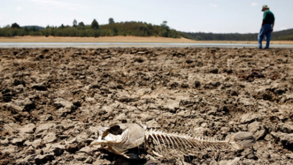 Dacă liderii lumii nu iau măsuri mai ample în materie de emisii, plonjăm într-un dezastru climatic, avertizează ONU. Omenirea riscă o încălzire de până la 3,1 grade Celsius
