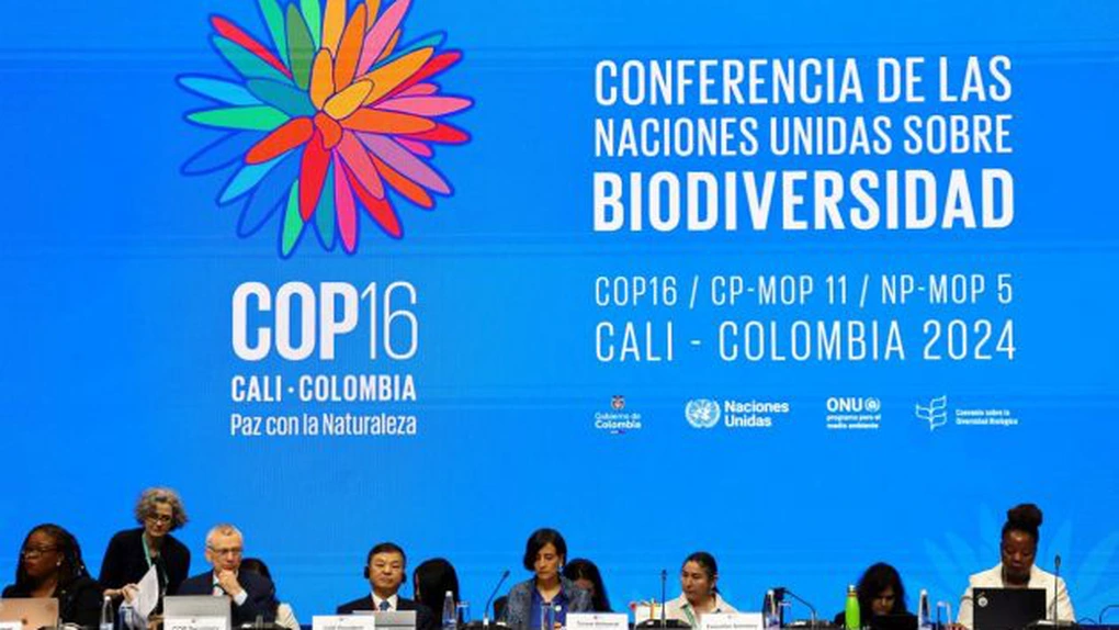 Eșec la summit-ul ONU privind biodiversitatea