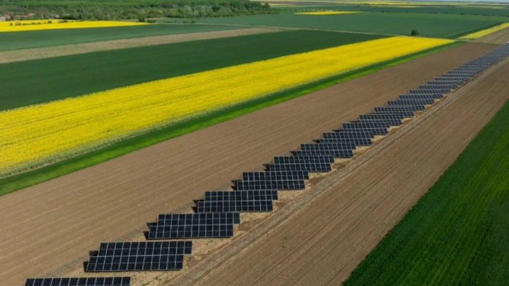 Investiții din fonduri nerambursabile de 110,4 milioane de euro în parcuri fotovoltaice. AFIR a selectat 581 de proiecte