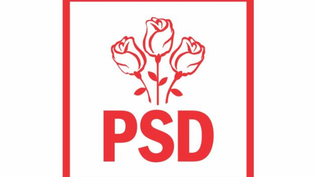 PSD şi-a prezentat programul de guvernare în domeniile tineret şi demografie