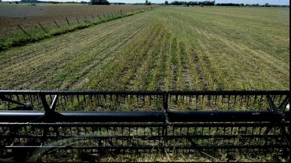 AAC: Direcțiile propuse de Parlamentul European pentru bugetul UE post-2027 sunt un pas importat spre o Politică Agricolă Comună (PAC) mai corectă şi adaptată realităţilor