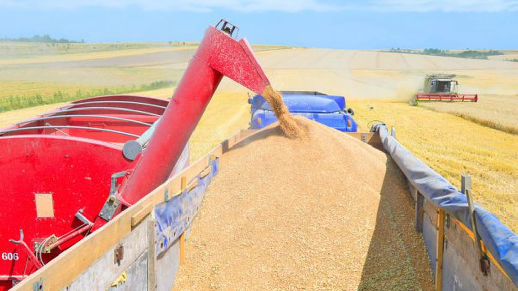Preţurile produselor agricole au scăzut uşor în 2024 - date Eurostat