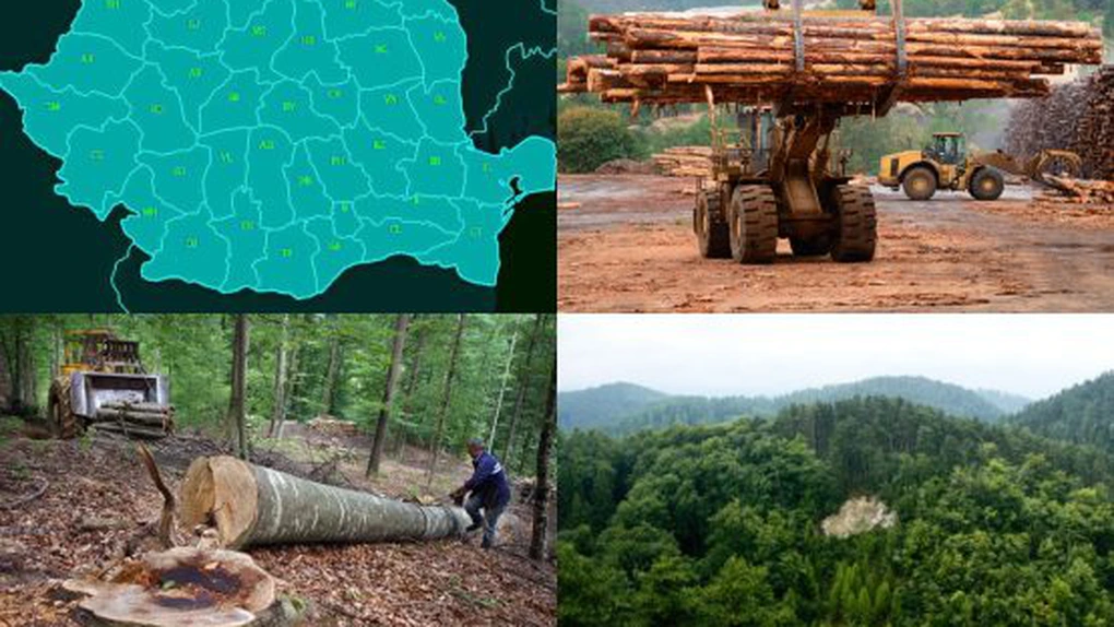 Balanţa Lemnului în România - Cât lemn exportă România şi cât cumpărăm de la străini (declaraţie de la Ministrul Mediului, Mircea Fechet)