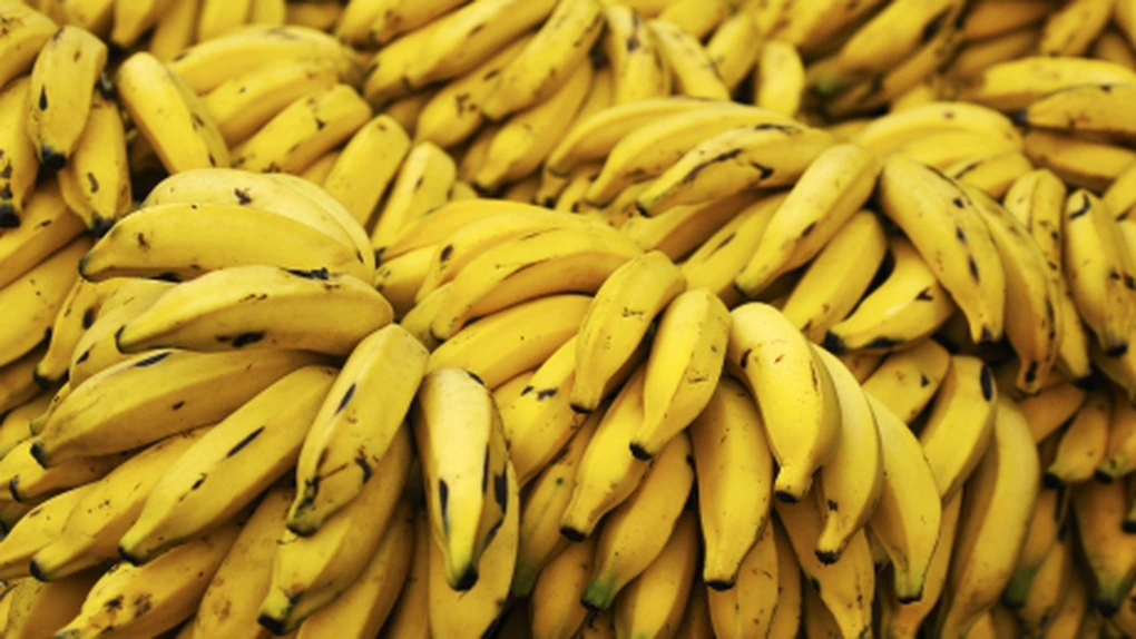 Criza bananelor – Creşterea temperaturilor şi dăunătorii omoară culturile