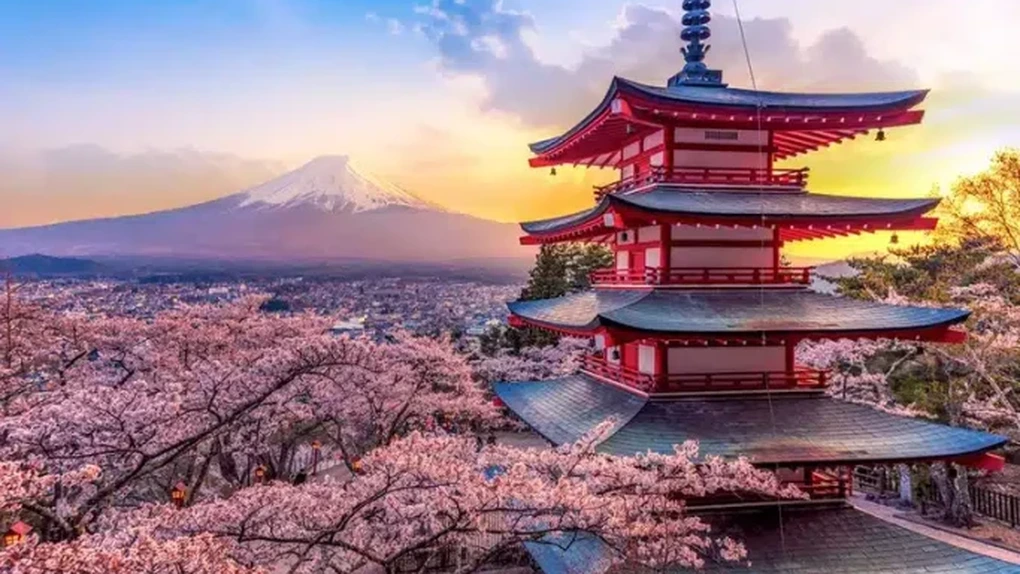 Tinerii români au dat buzna în Japonia pentru cireșii înfloriți – Studiu Revolut