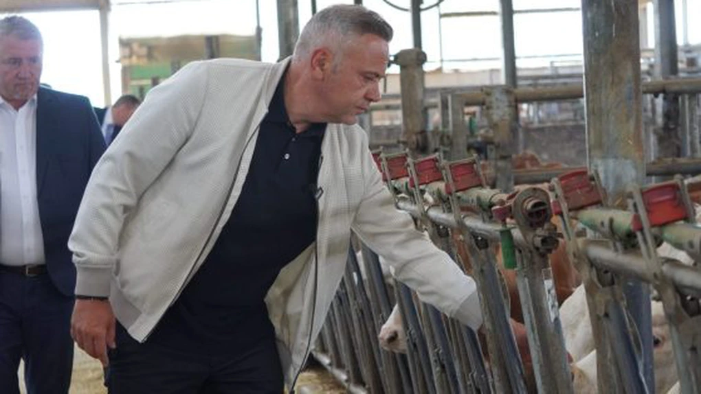 Investiții în zootehnie de 4 miliarde de euro cu bani de la UE și stat. Ce promite ministrul Agriculturii fermierilor