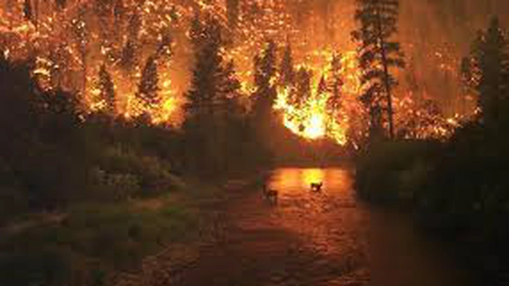 Incendii de amploare în Caraş-Severin