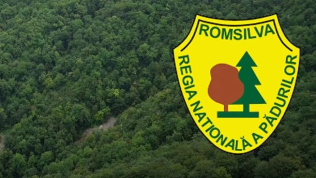 OUG pentru reorganizarea Romsilva, adoptată de Guvern
