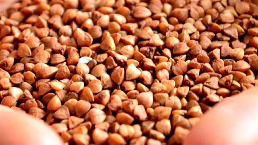 Banca de Resurse Genetice Vegetale: România are nevoie de o strategie naţională de producere a seminţelor