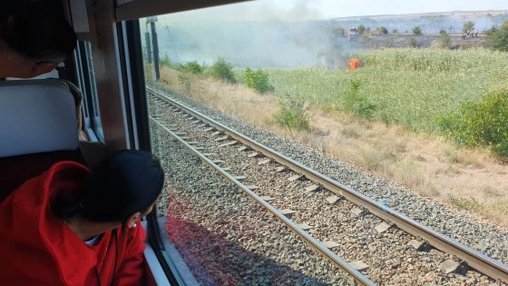 VIDEO Tren Constanța - București, întors în stație la Medgidia din cauza unui incendiu de vegetație UPDATE 1