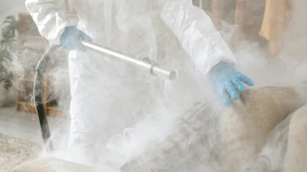 Eliminarea ploșnițelor de pat cu tratament termic: cea mai bună soluție pentru ploșnițe