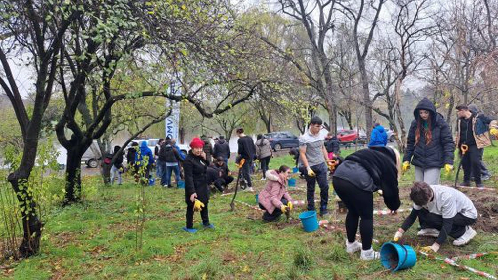 Primăria Capitalei plantează 4.000 de puieți în Parcul Tineretului