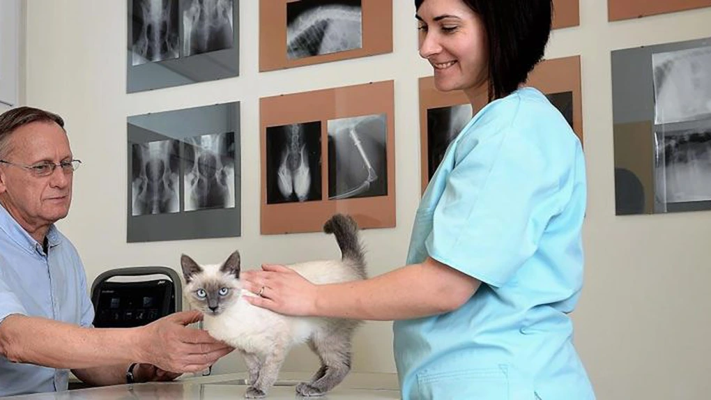 PartnerVet se extinde în Brașov prin preluarea clinicii veterinare Lempeș