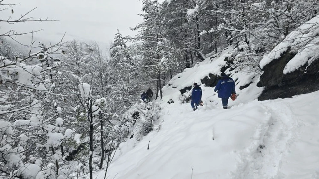 DEER a finalizat intervenția pentru remedierea avariilor la rețelele electrice din Munții Apuseni