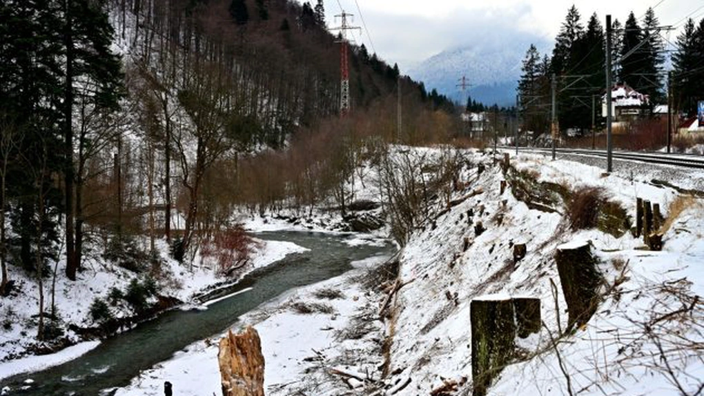 Centura Azuga – Bușteni: Se cere o expertiză tehnică pentru continuarea proiectului, după surprizele din teren din urma defrișărilor