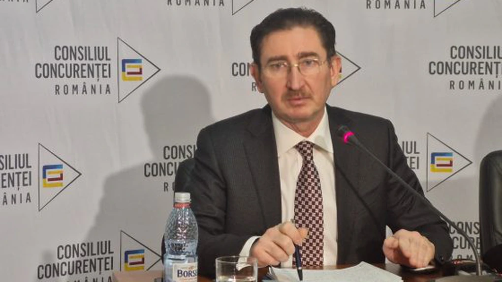 Șeful Consiliului Concurenței cere Guvernului să nu amâne liberalizarea prețurilor la gaze