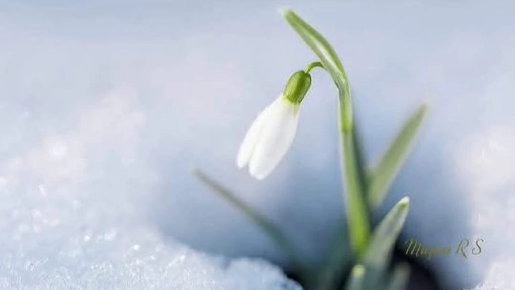 Vine primăvara. Ce temperaturi vor fi săptămâna viitoare în România