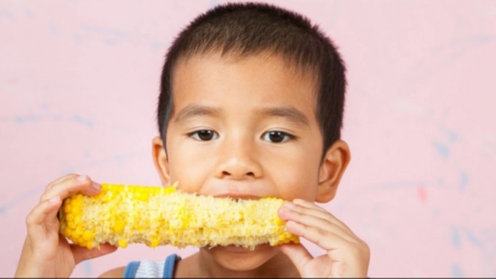 China pune sub lupă cerealele românești. Ce se întâmplă cu exporturile