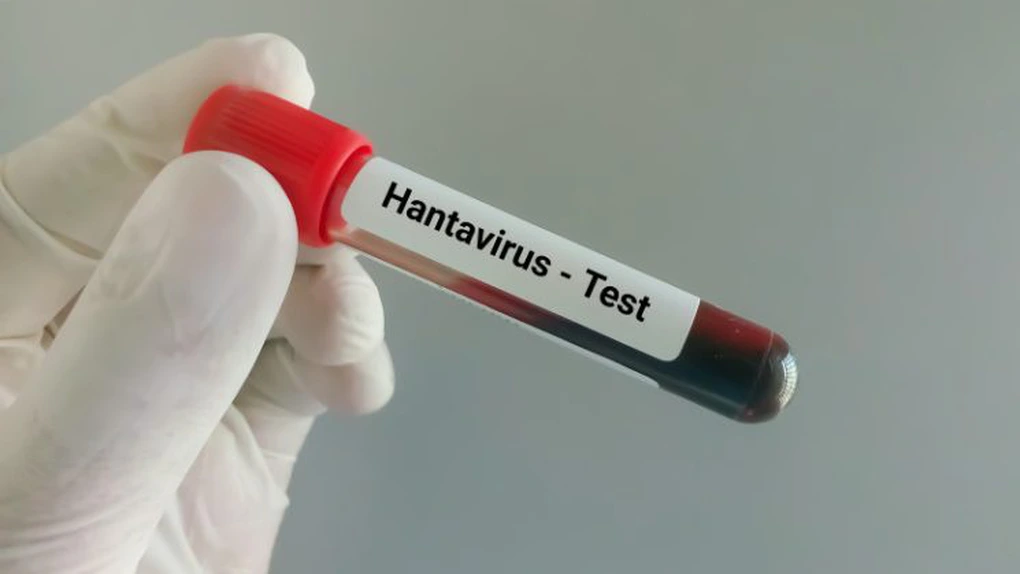 Oficial. Hantavirus în România. Pacientul infectat, internat la psihiatrie de trei ani,  nu are legătură cu focarul de pe nava de croazieră