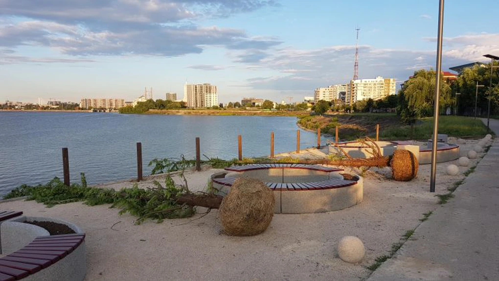 FOTO Insula Lacul Morii: A început plantarea copacilor în viitoarea oază de verdeață a Capitalei