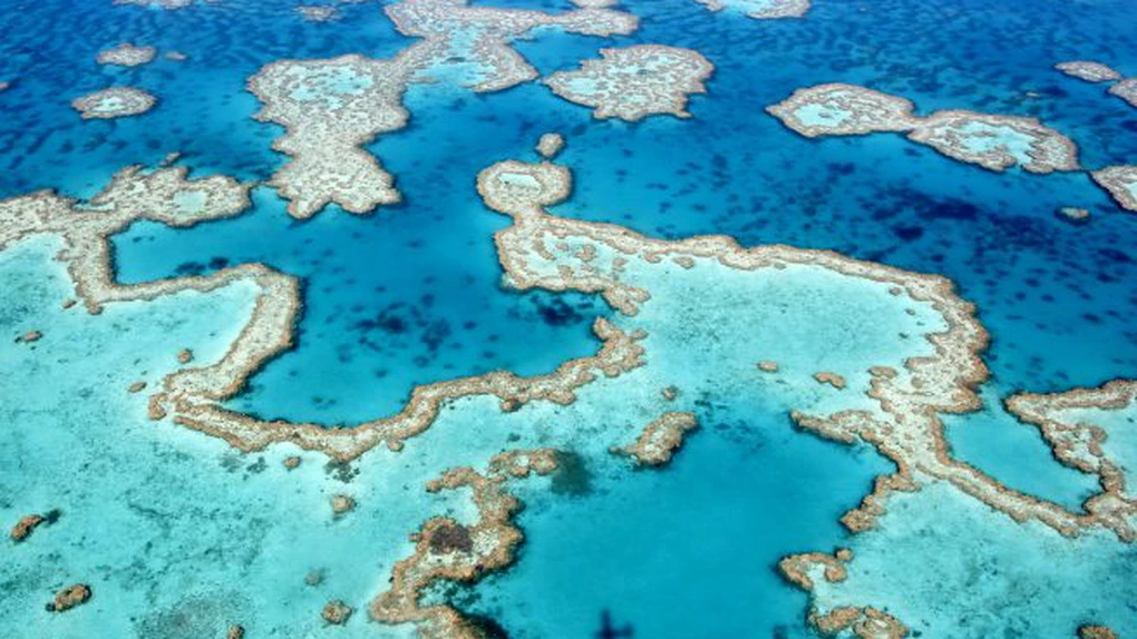 UNESCO își exprimă îngrijorarea absolută cu privire la starea Marii Bariere de Corali din Australia, dar nu introduce reciful pe lista 