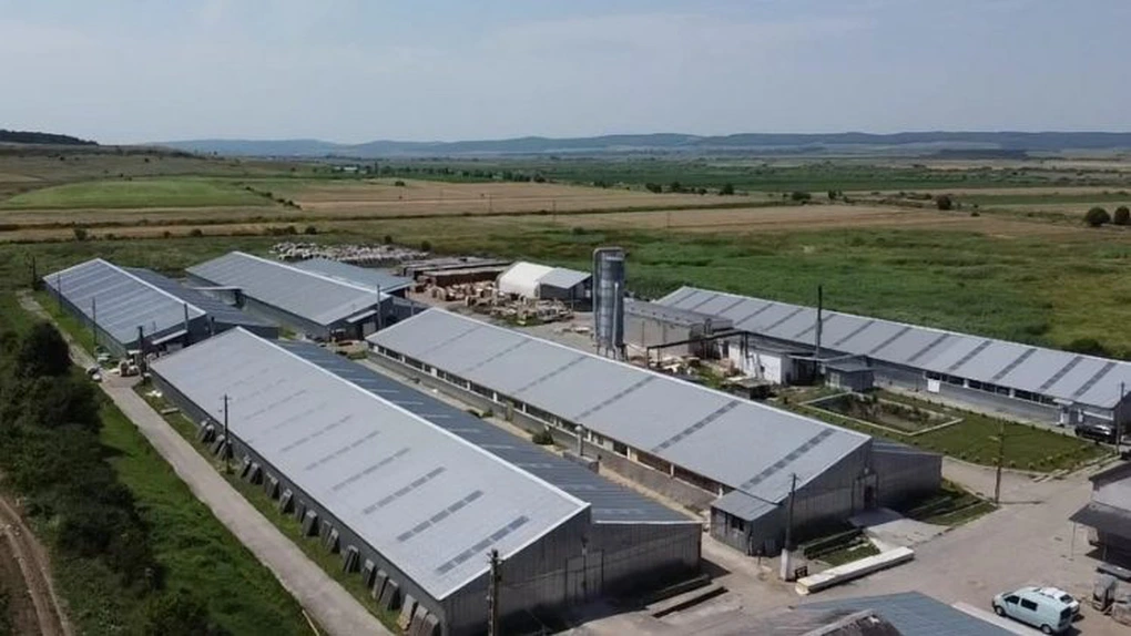 Roca Industry blochează plata pentru preluarea a 30% din compania Workshop Doors, în urma unui audit care i-a trezit 