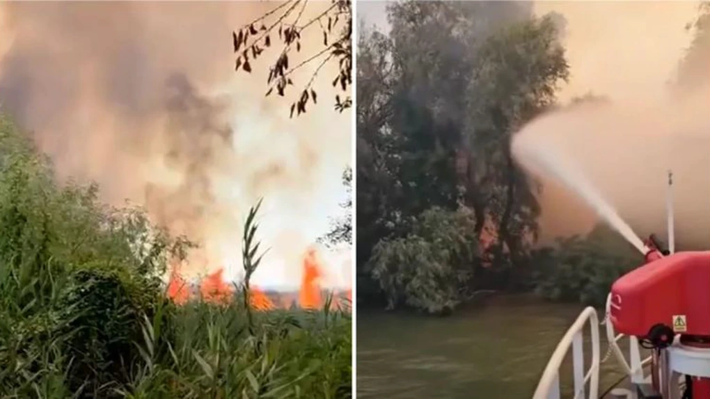 Incendiu puternic în Delta Dunării. Există pericol de propagare la fondul forestier