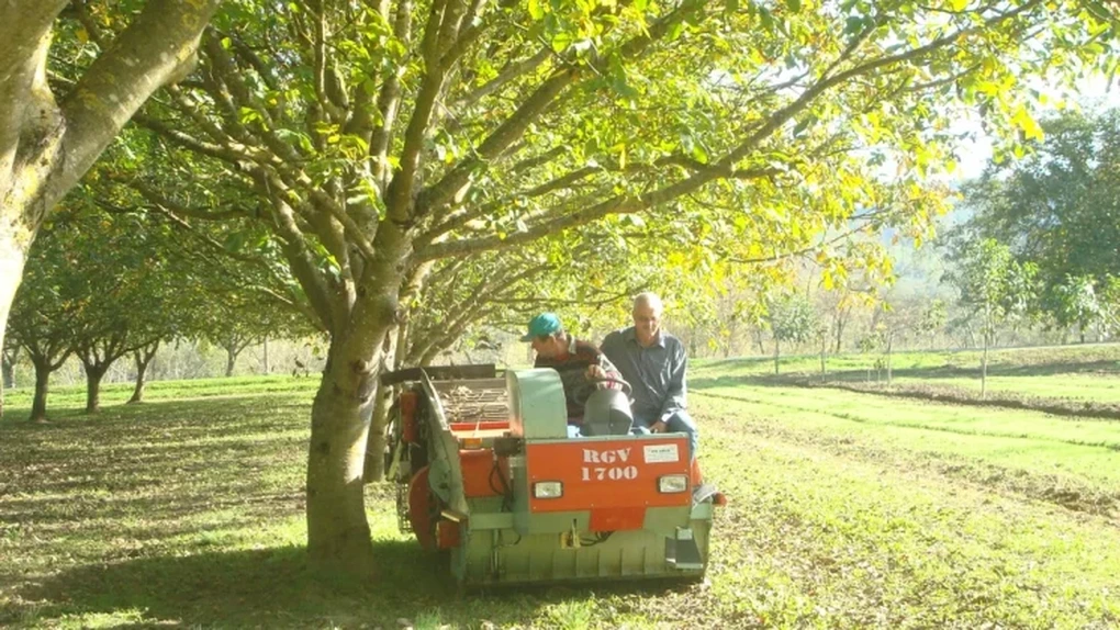 Fructul românesc care hrănește toată Europa, suntem lideri detașați. Interesul este tot mai mare