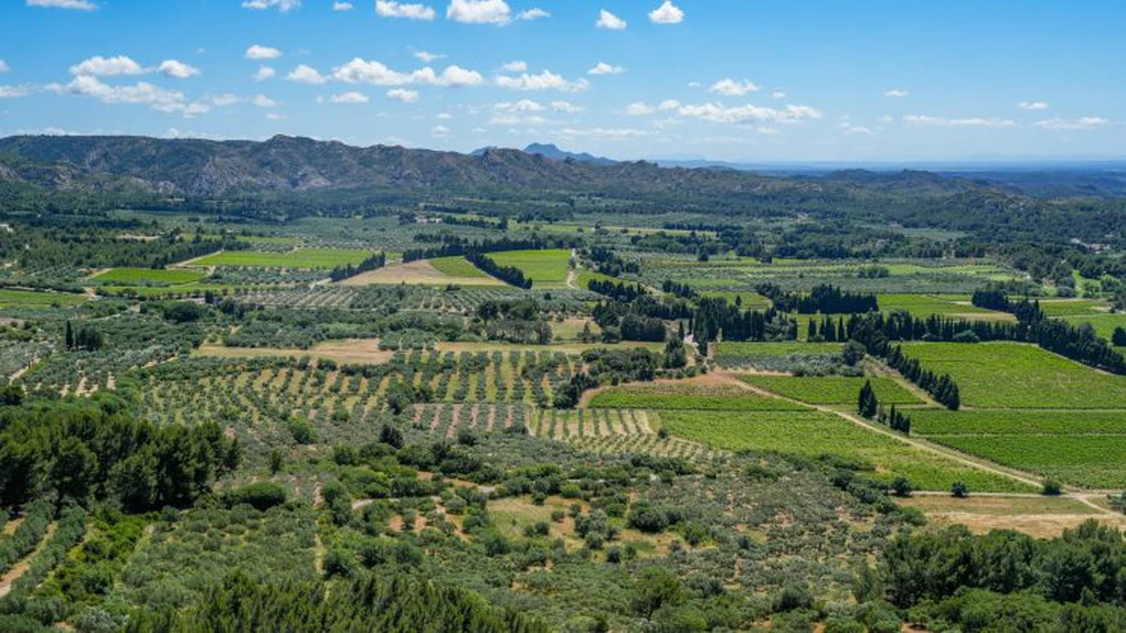 Fuziune de 3 miliarde de euro în agricultura franceză, cu impact și în România. Consiliul Concurenței a dat undă verde