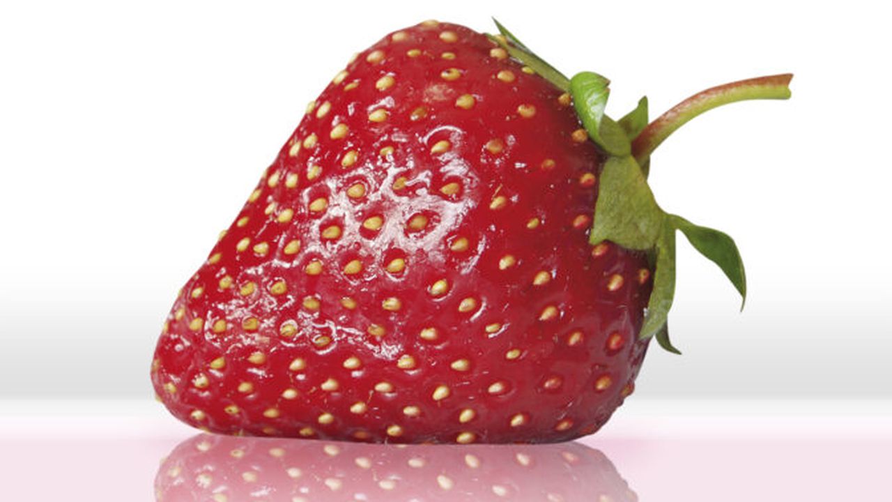 strawberry1_2560x1600_91025100
