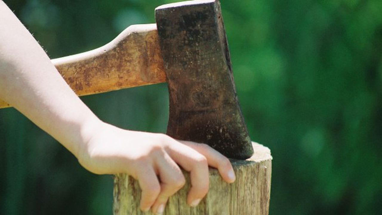 topor_lemn_600x401_76853500