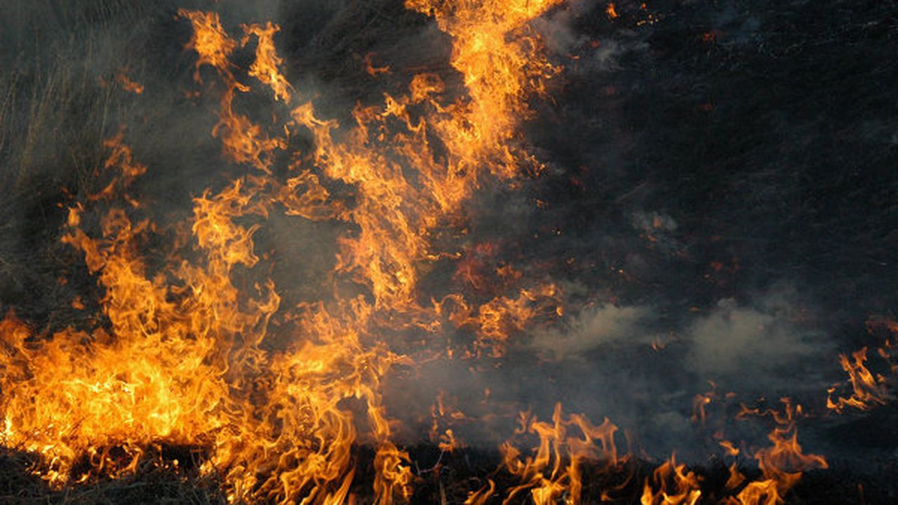 incendiu_aeroport_11823300